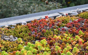 the cost of Hanging Houghton green roof installation
