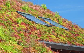 Hanging Houghton living roof systems